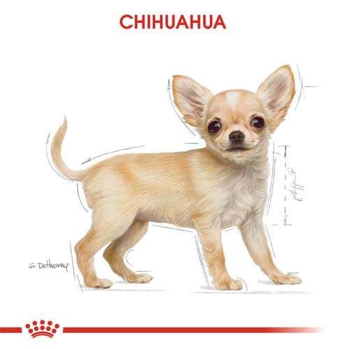 Royal Canin Chihuahua Puppy Yavru Köpek Maması, 1,5 Kg