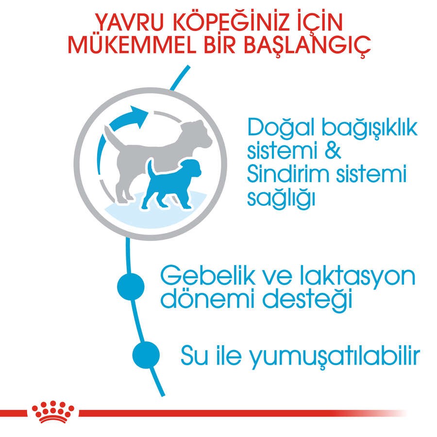 Royal Canin Mini Starter Mother & Babydog Küçük Irk Anne ve Yavru Köpek Maması, 4 Kg