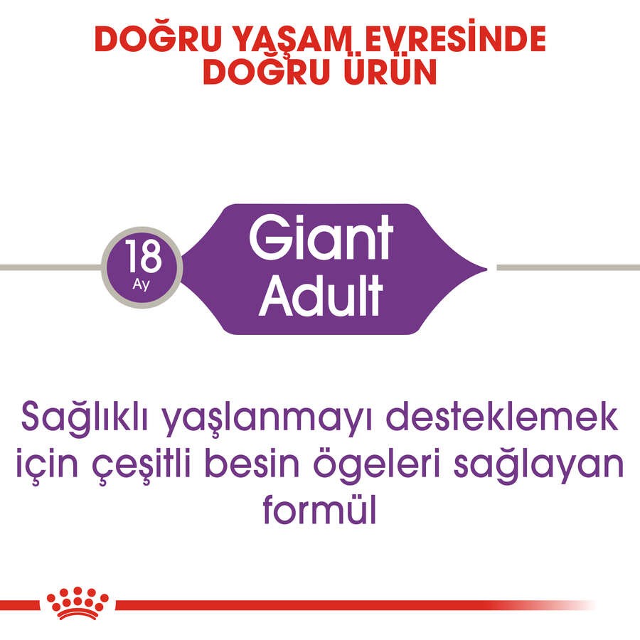 Royal Canin Giant Adult Yetişkin Köpek Maması, 15 Kg