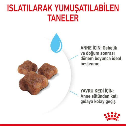 Royal Canin Mother & Babycat Anne ve Yavru Kedi Maması, 400 G