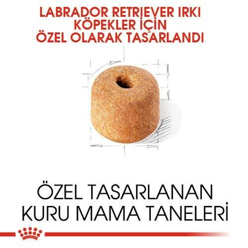 Royal Canin Labrador Retriever Adult Yetişkin Köpek Maması, 12 Kg
