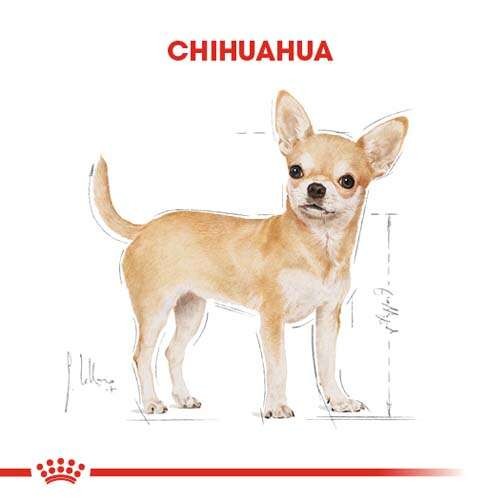 Royal Canin Chihuahua Adult Yetişkin Köpek Maması, 1,5 Kg