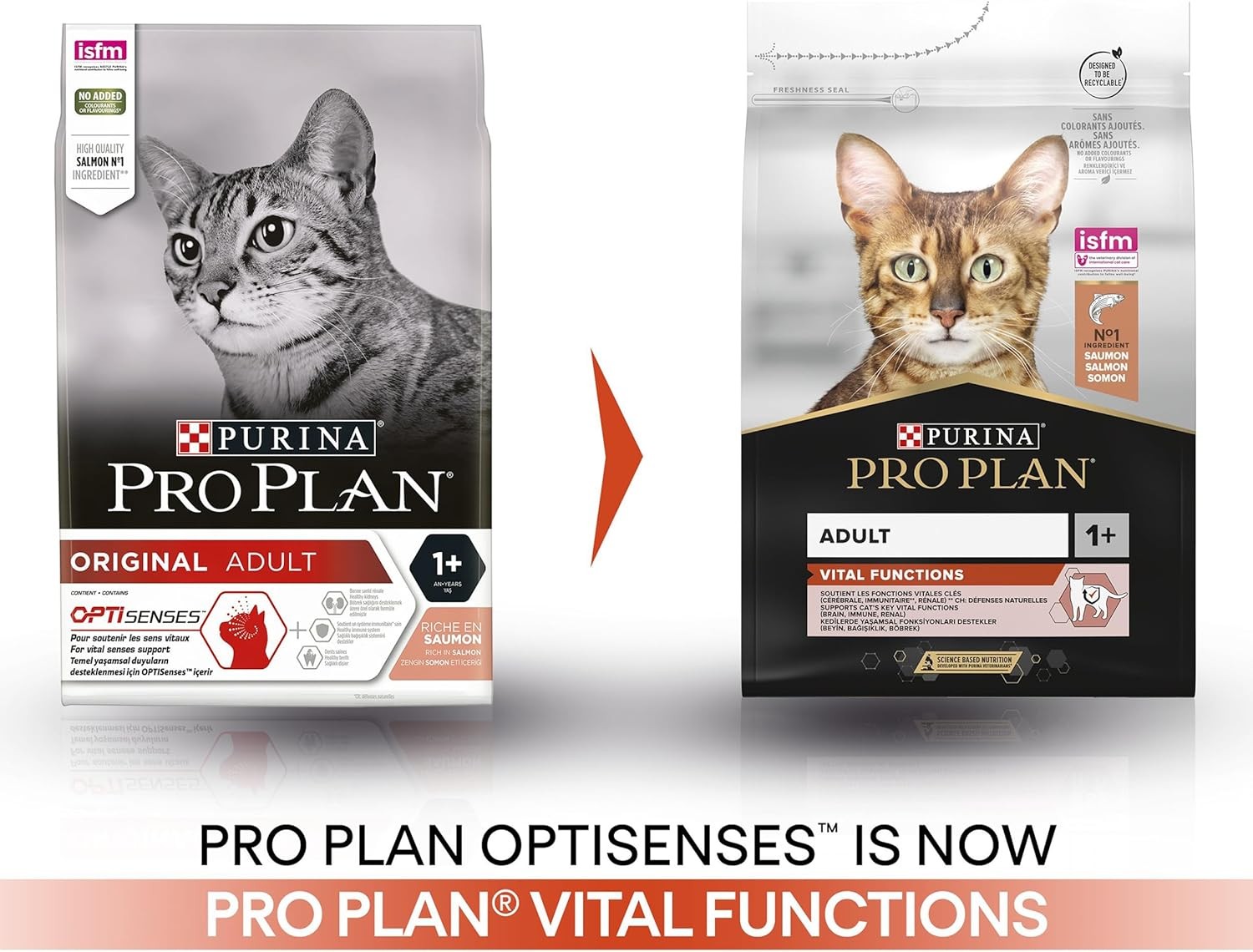 Pro Plan Original Adult Salmon, Somonlu Yetişkin Kedi Kuru Maması 3 Kg