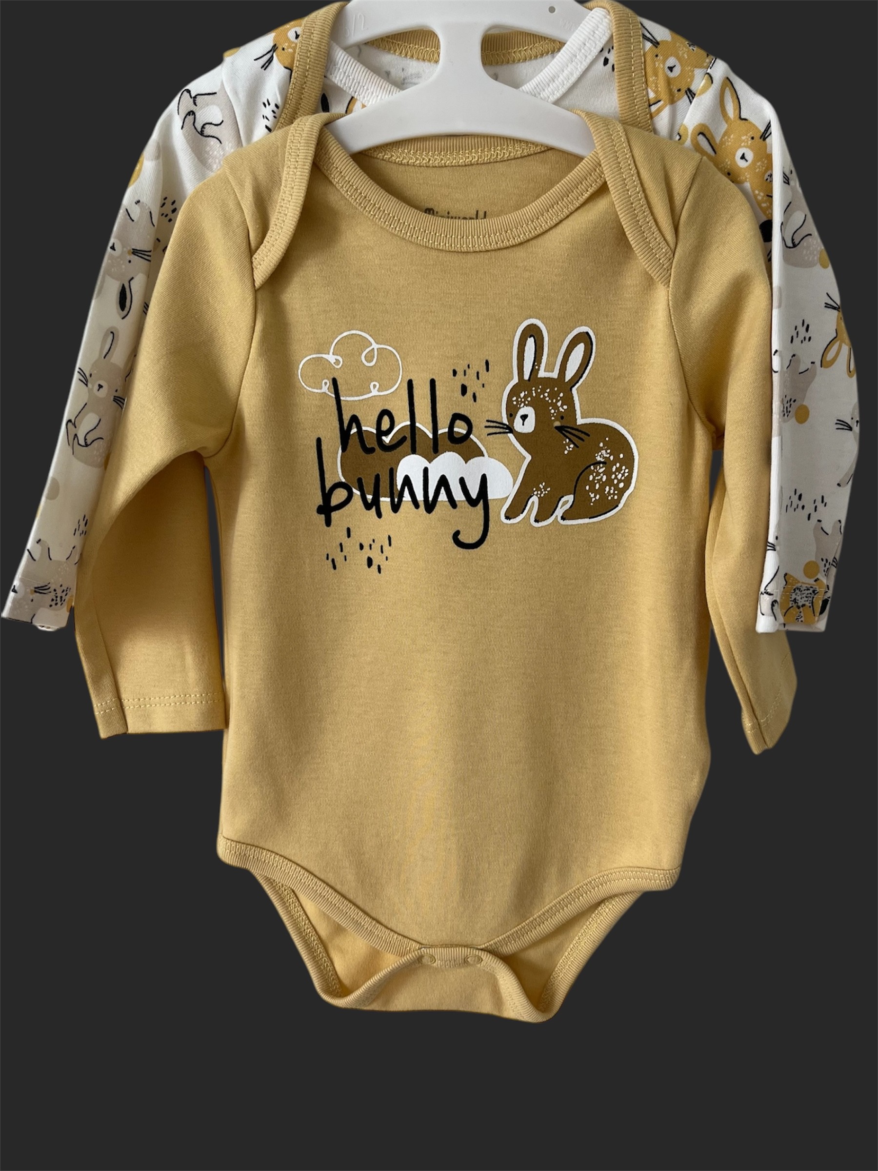 2'li Uzun Kollu Pamuklu Çıtçıtlı Body