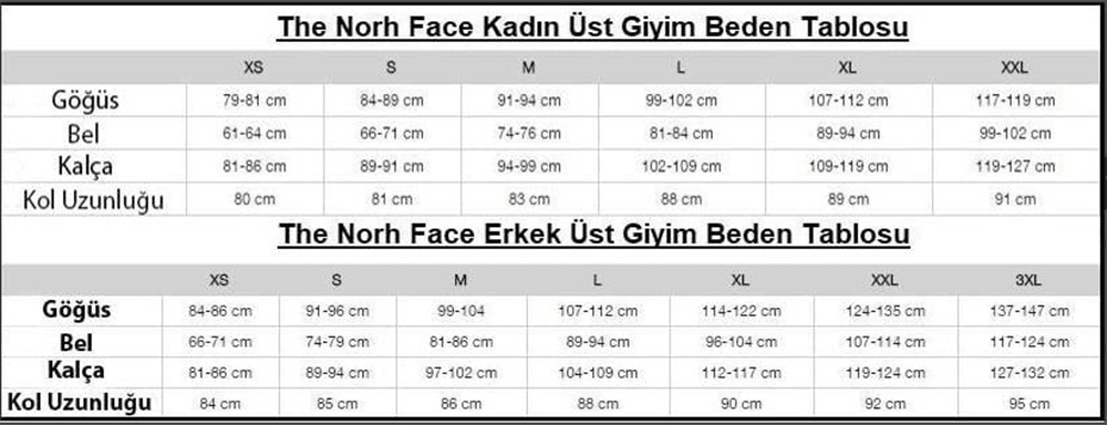 THE NORTH FACE W FNDTION CROP TEE KADIN