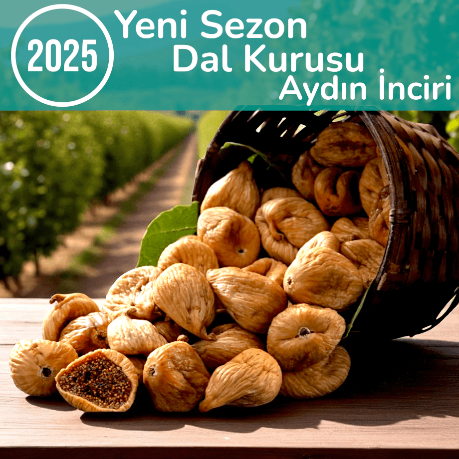 DAL KURUSU DAĞ İNCİRİ 500 GR.