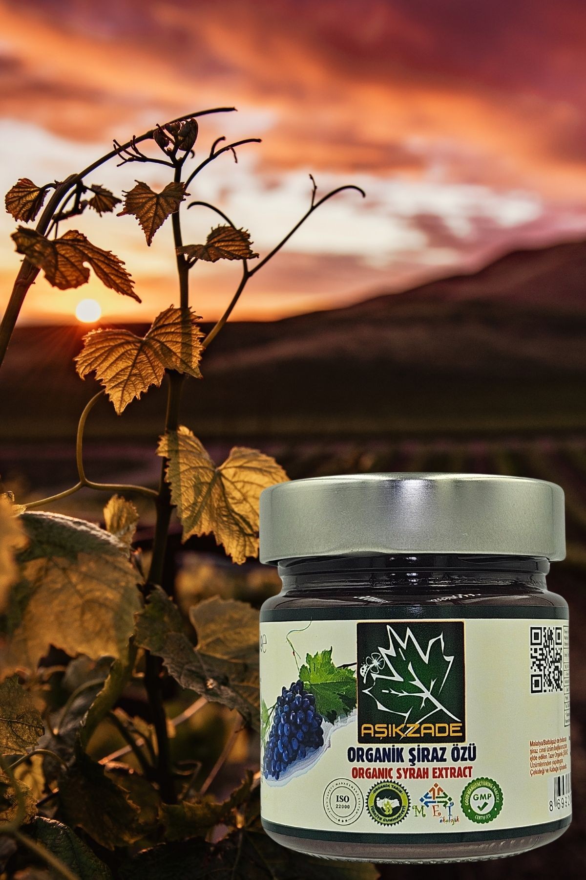 Aşıkzade Organik Şiraz özü 255ml 280 g