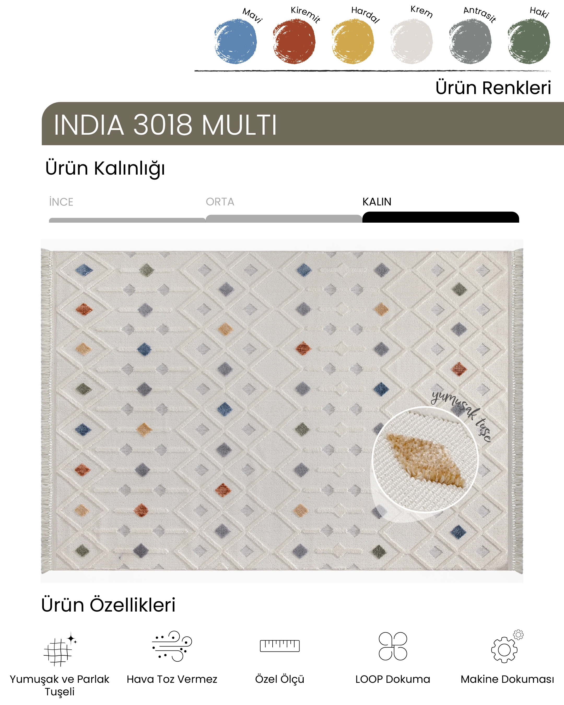 Ayteo Halı India 3018 Multi Renkli İskandinav Halı
