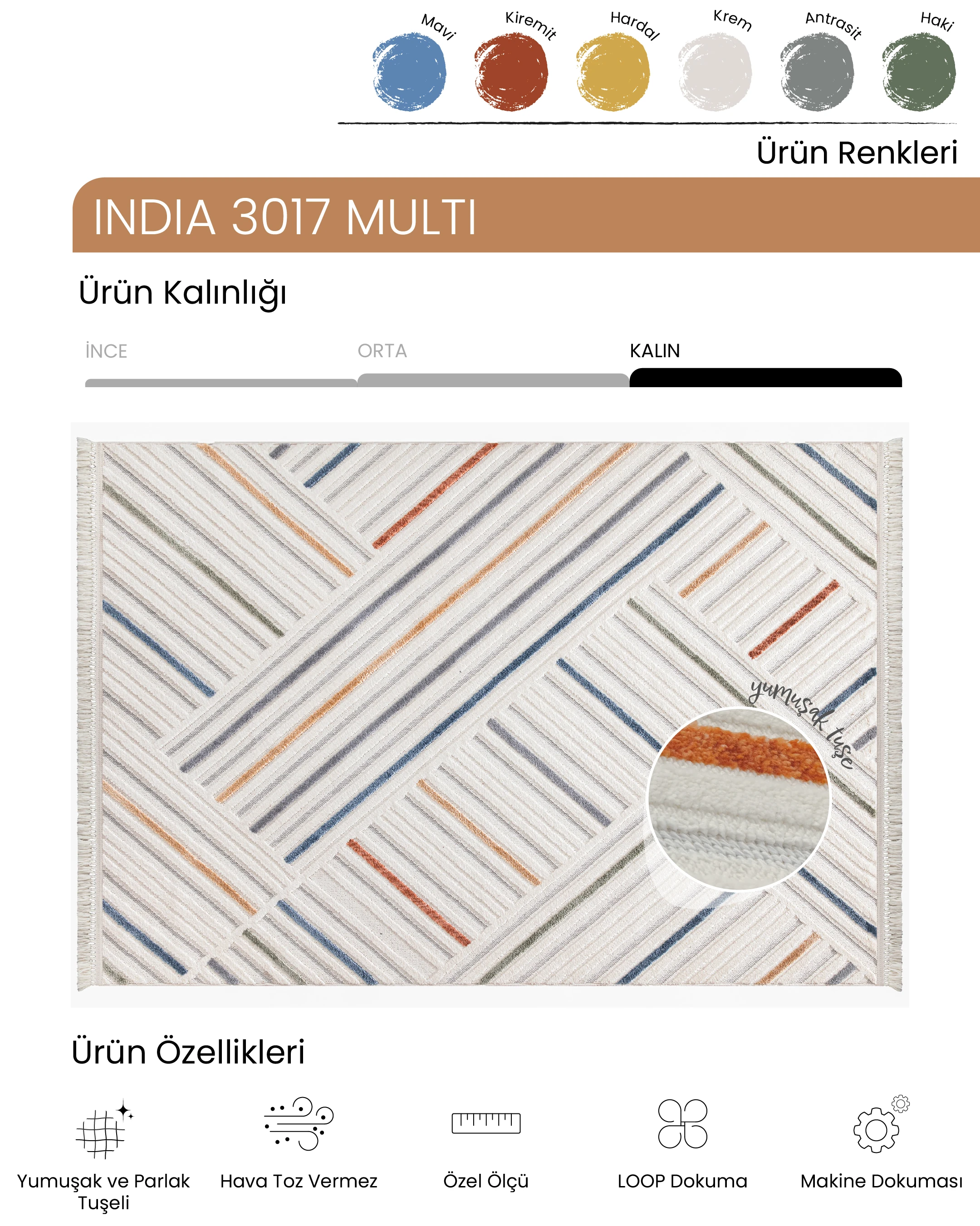 Ayteo Halı India 3017 Multi Renkli İskandinav Halı