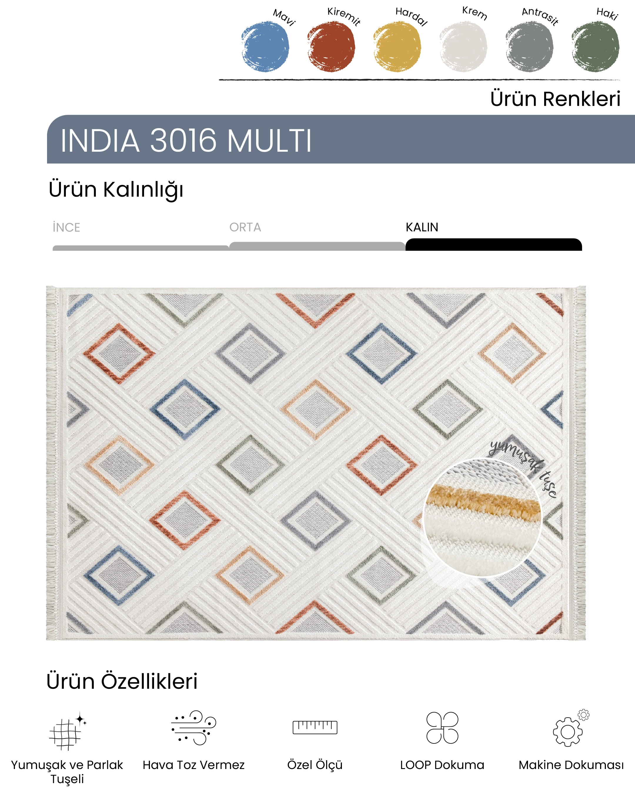Ayteo Halı India 3016 Multi Renkli İskandinav Halı