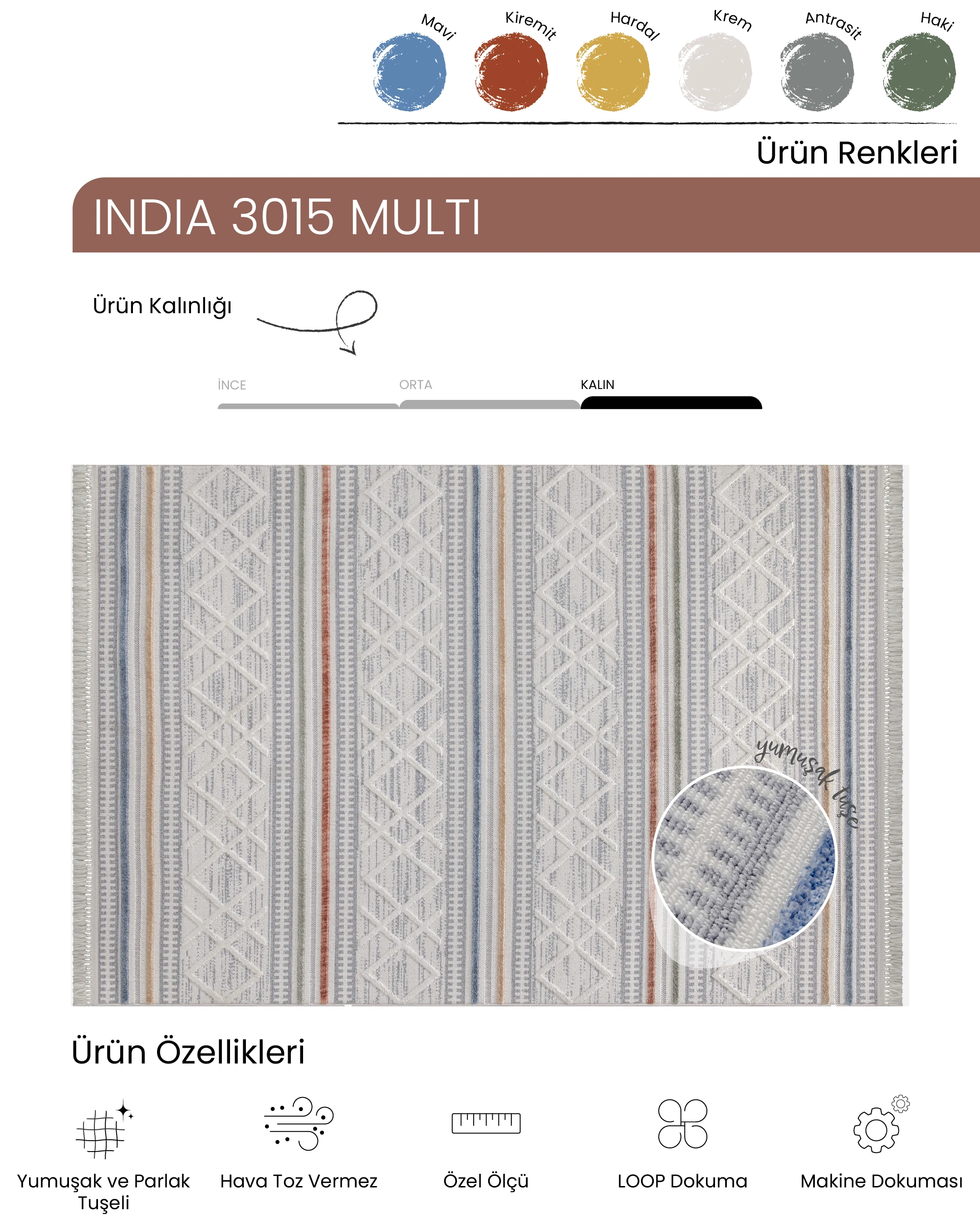 Ayteo Halı India 3015 Multi Renkli İskandinav Halı