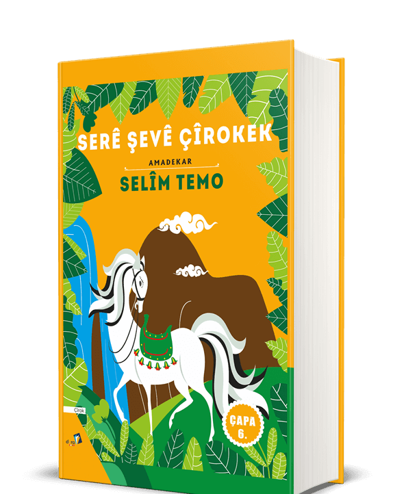 Serê Şevê Çîrokek (Ciltli)