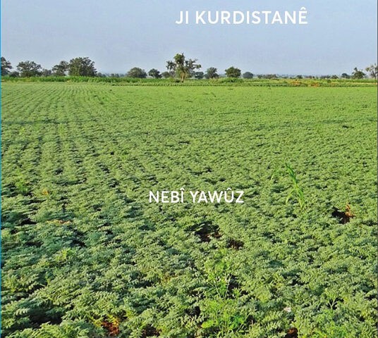 Hin Çîrokên Gelêrî Ji Kurdistanê