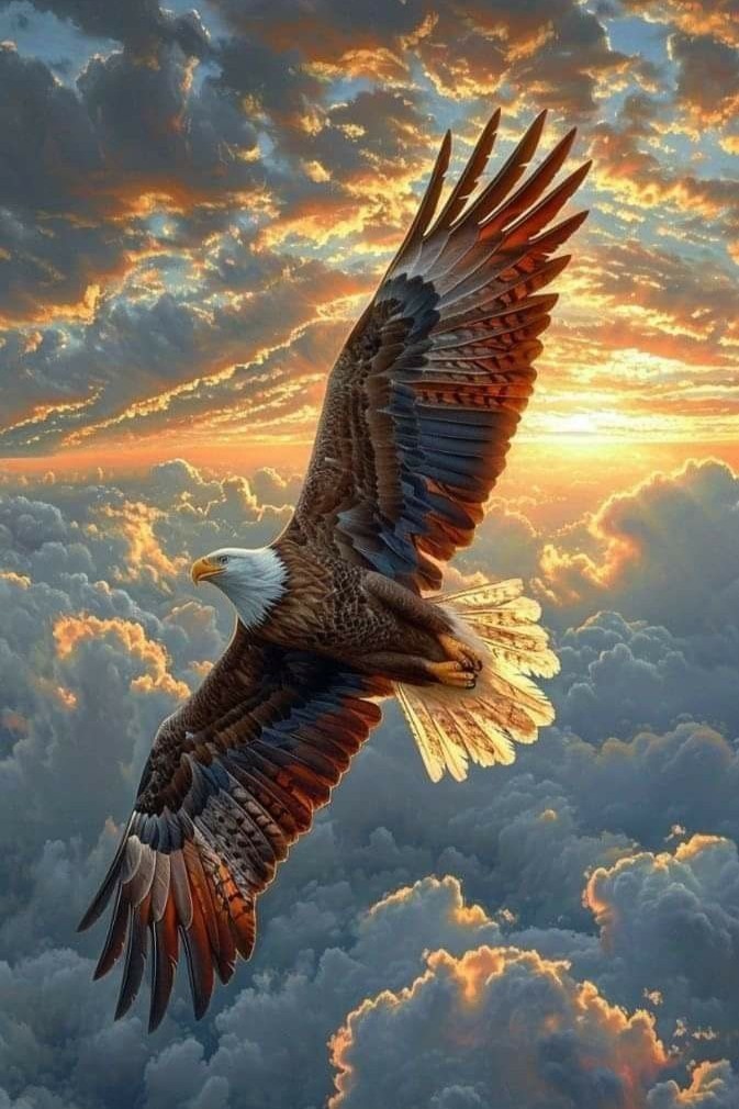 Kartal 