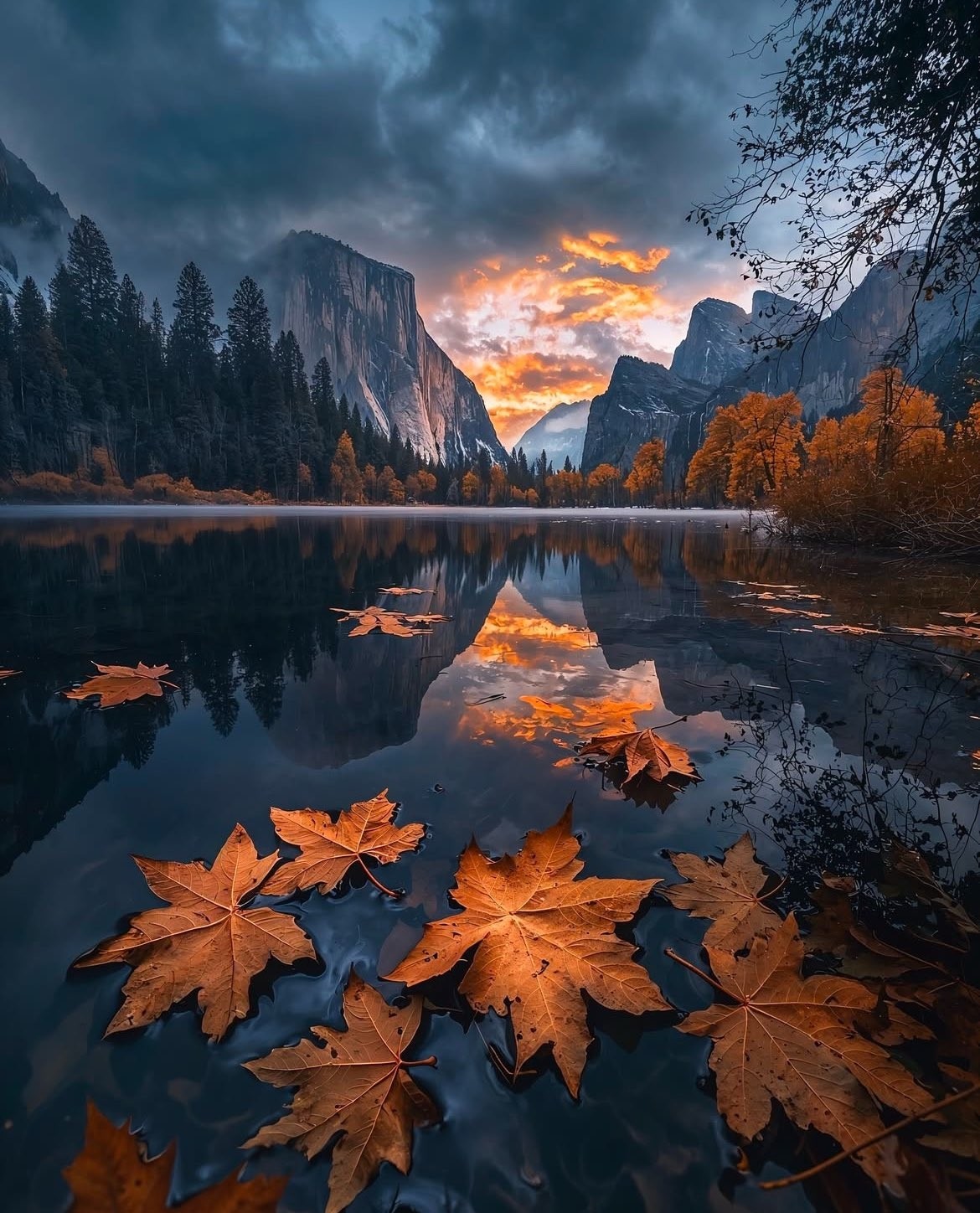 Scenery