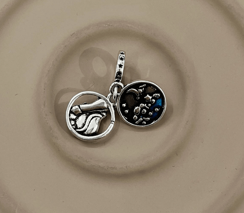 Halley Pandora Charm