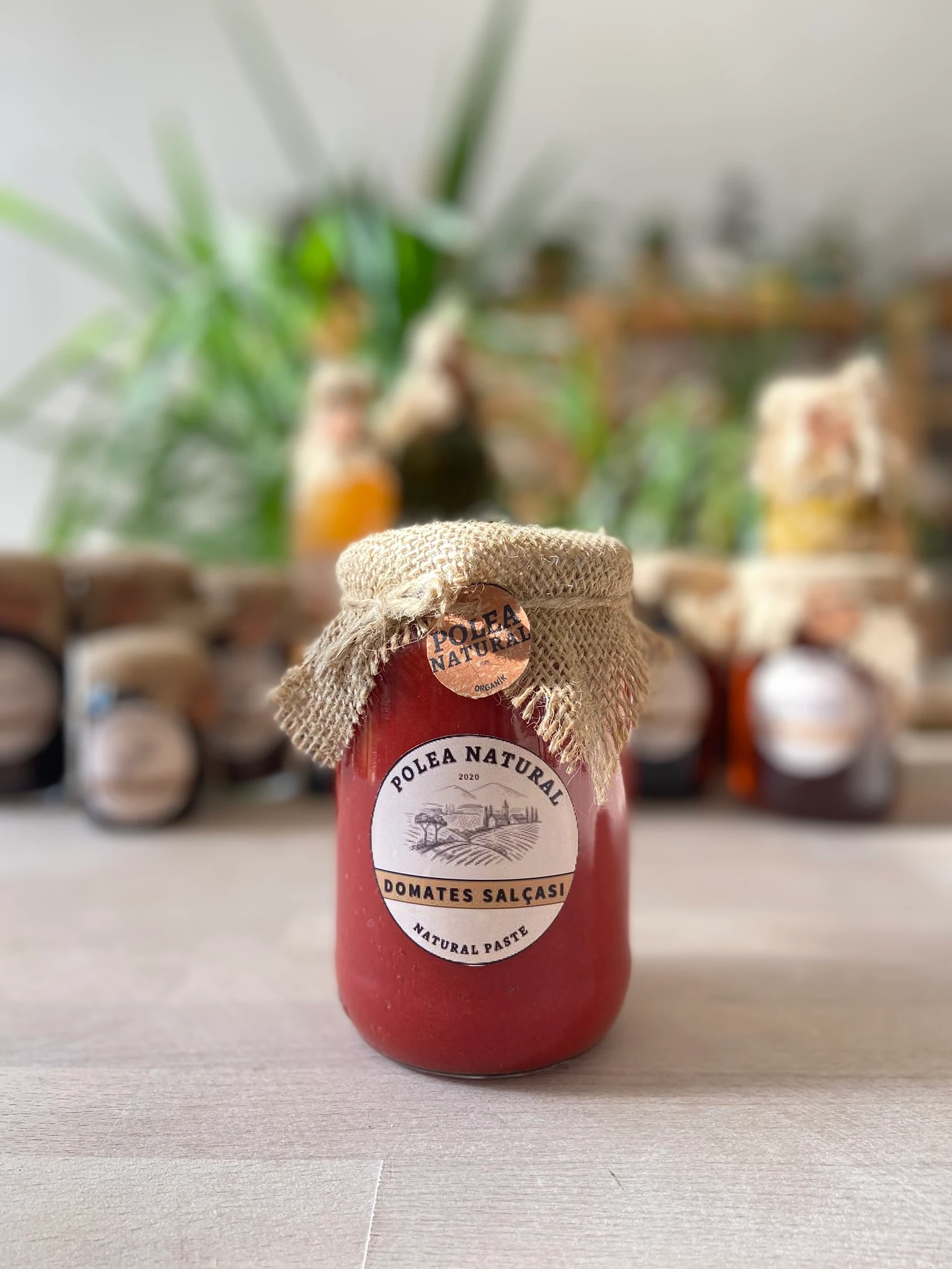 DOMATES SALÇASI 800 GR