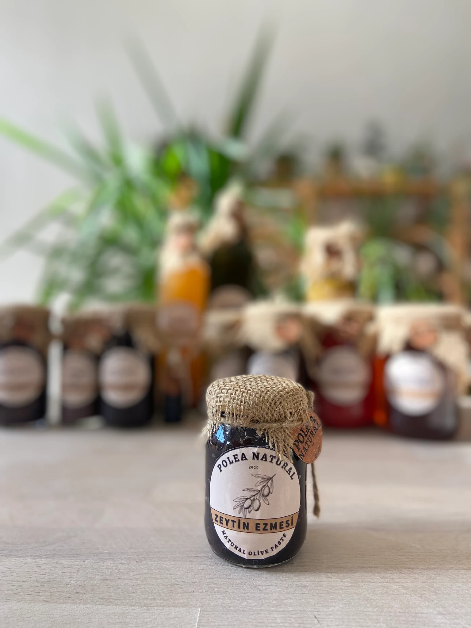 ZEYTİN EZMESİ