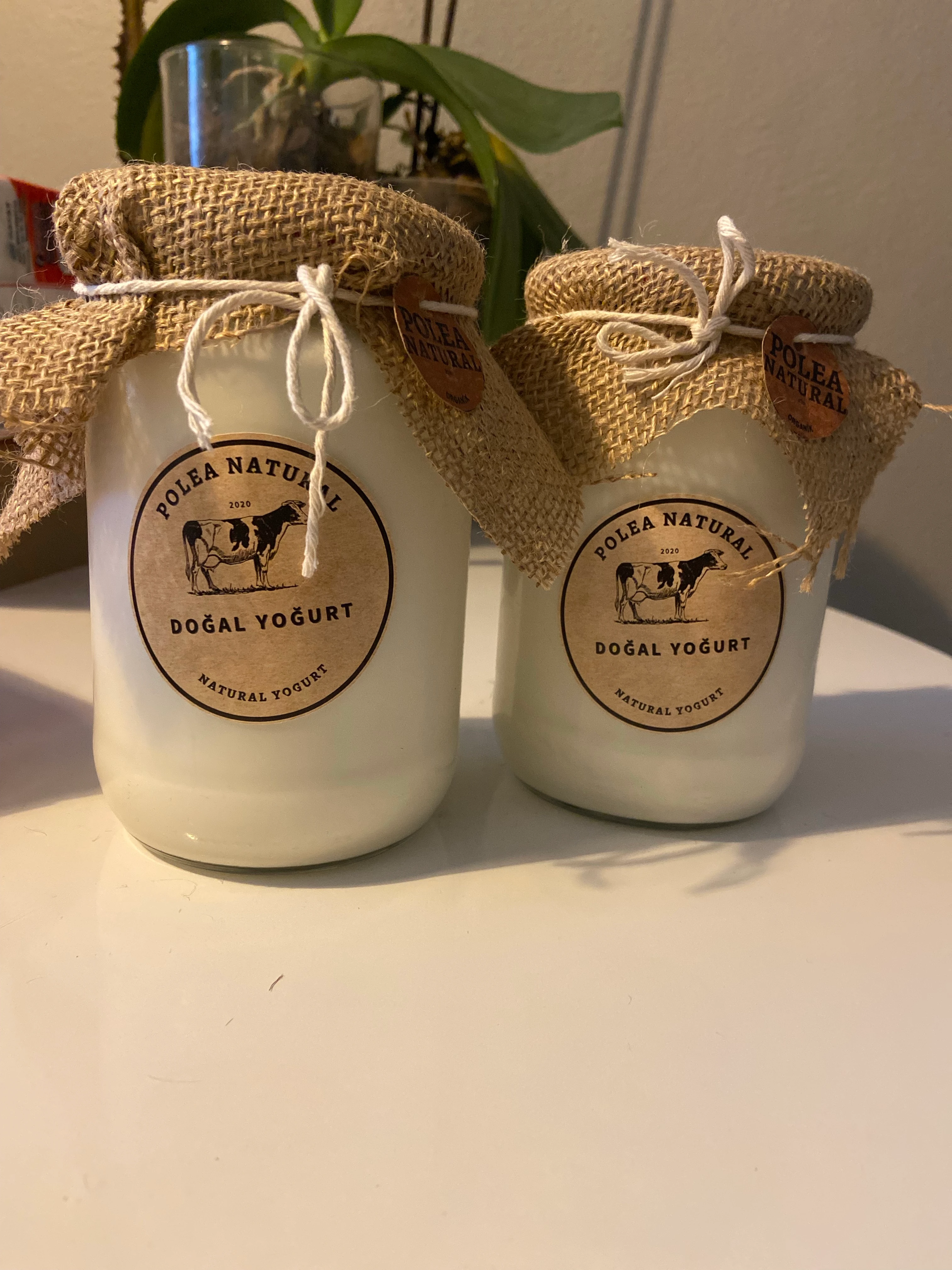 Doğal Yoğurt 660cc