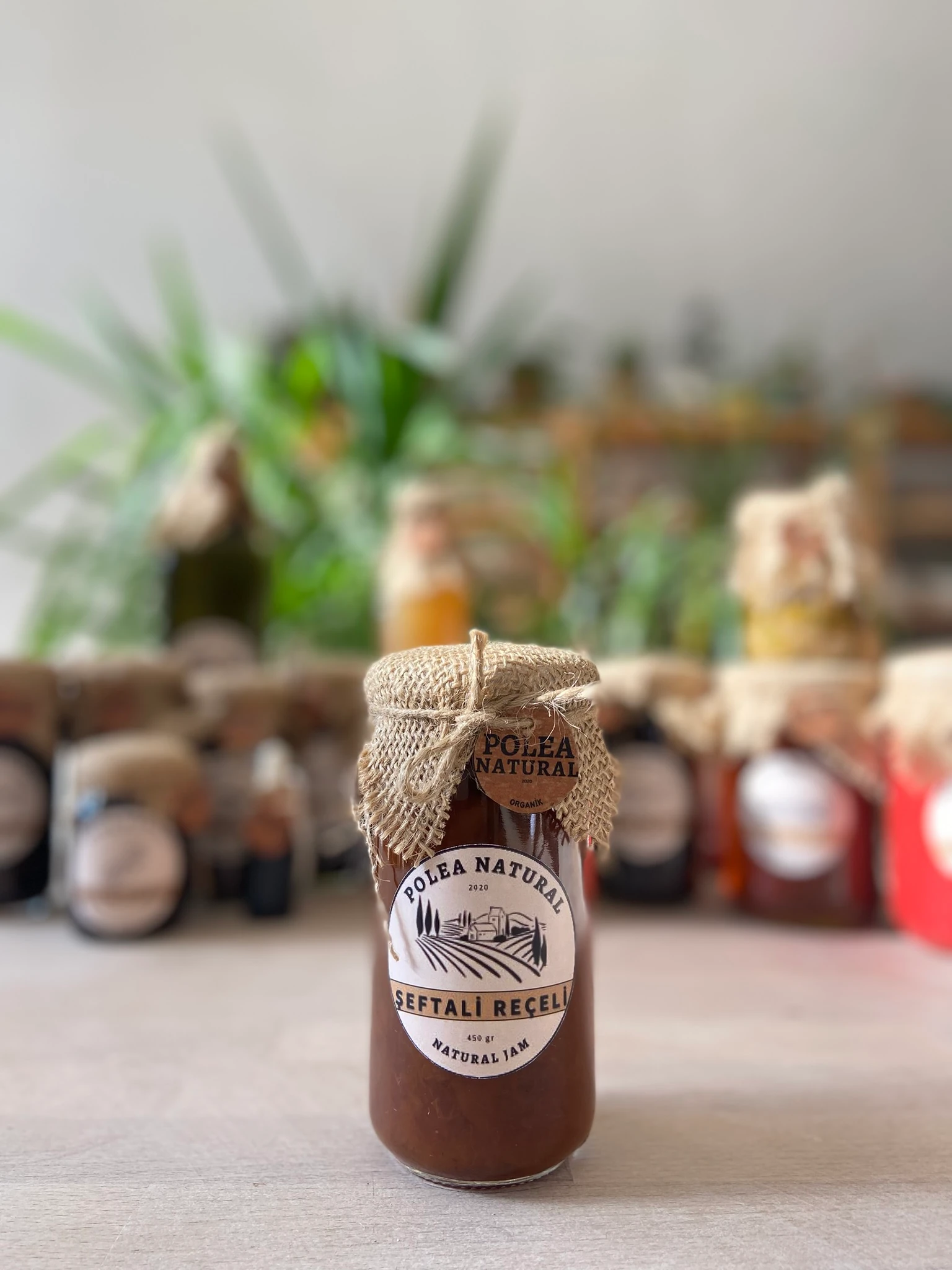 ŞEFTALİ REÇELİ 450 GR