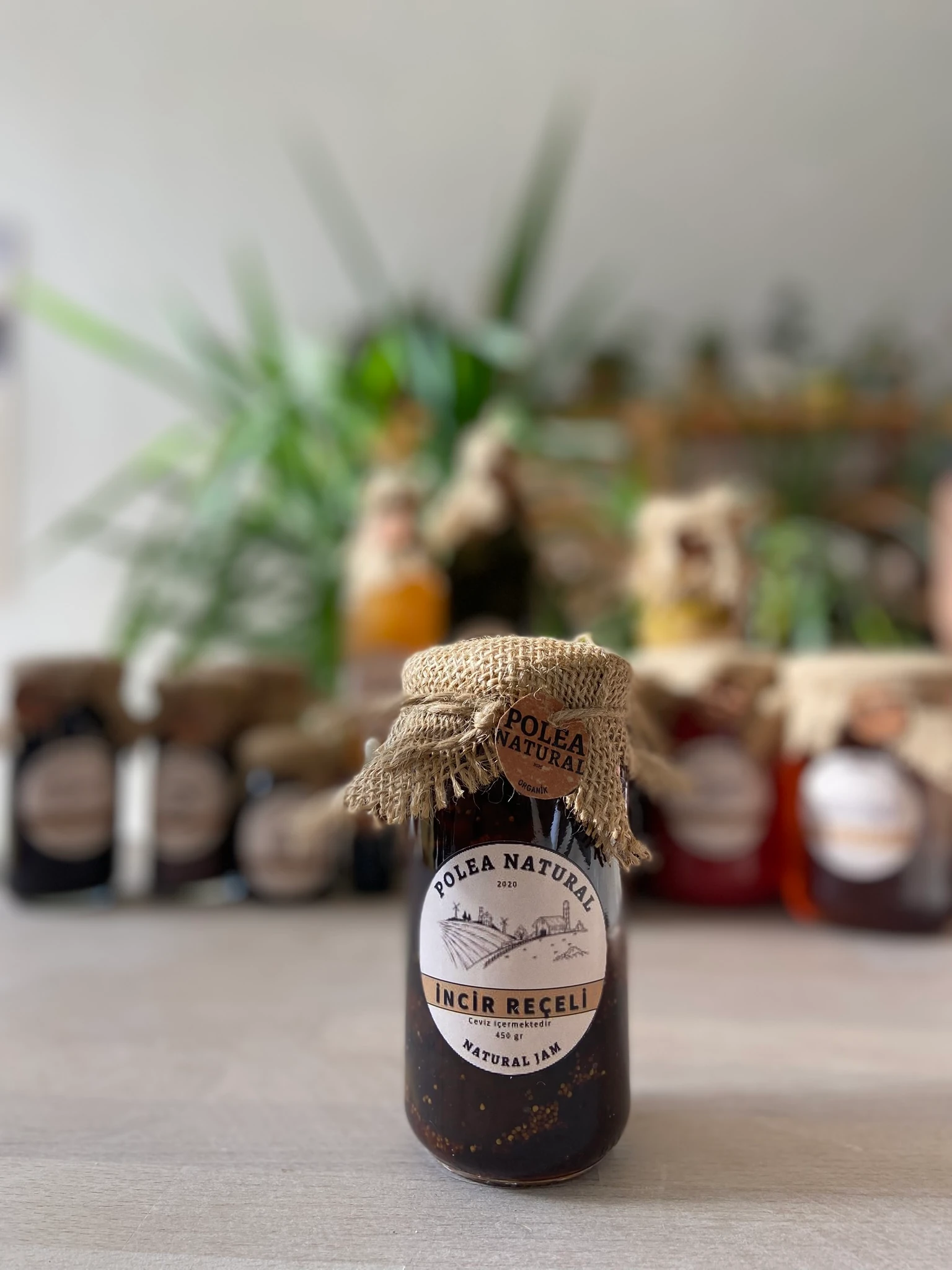 İNCİR REÇELİ 450 GR