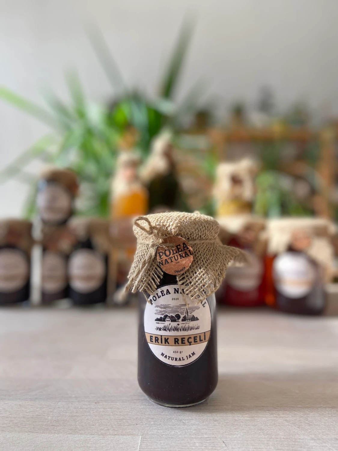 ERİK REÇELİ 450 GR