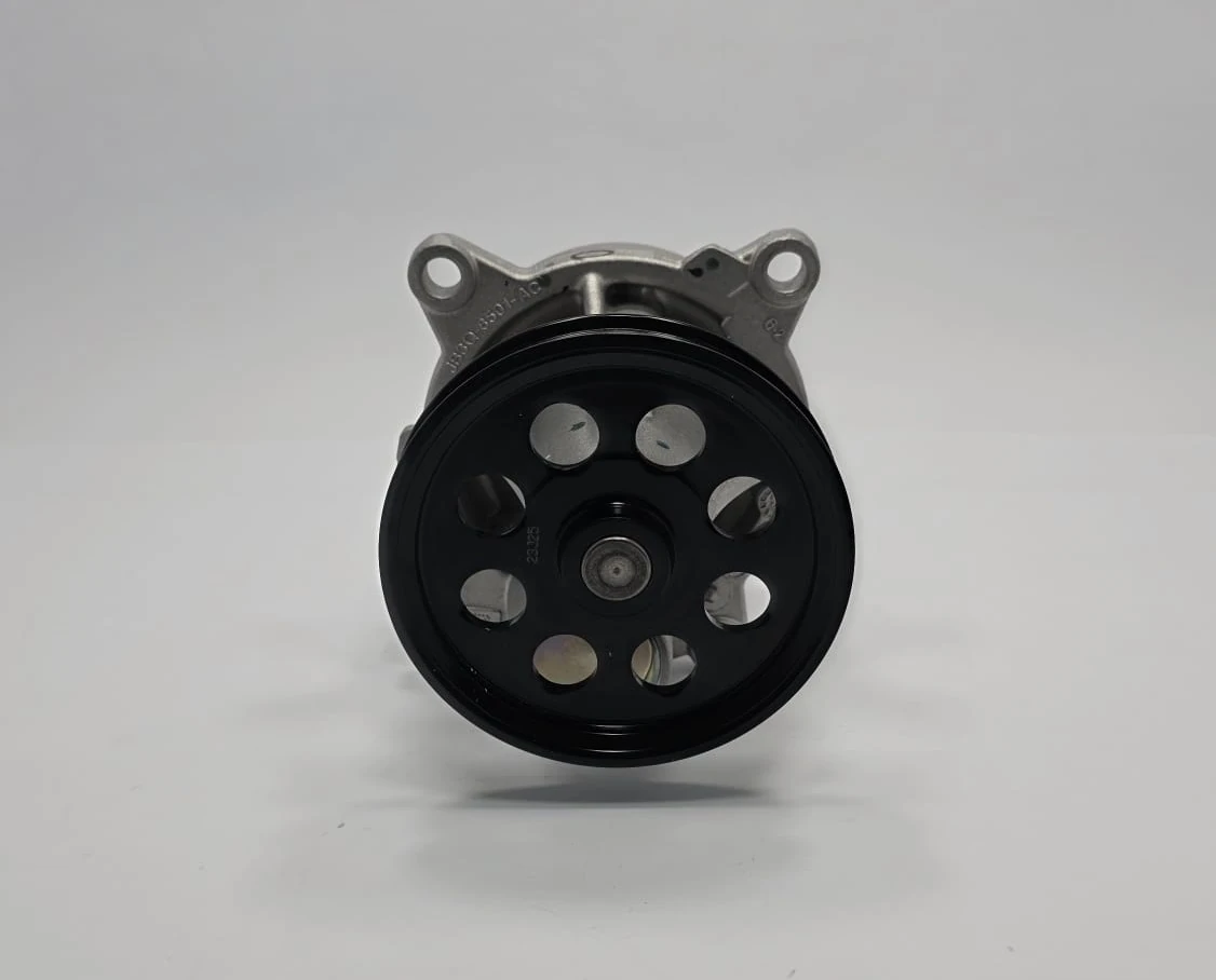 RANGER 2.0 EcoBlue Panther Devirdaim Su Pompası 2019 - 