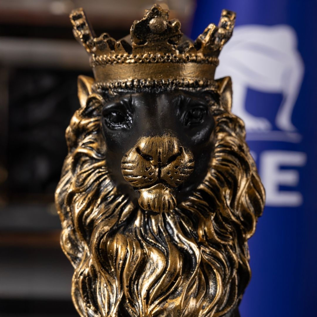 2’li Siyah Kral Aslan Biblo Seti | 35 cm Polyester