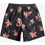 Quiksilver Everyday Mix 17 Erkek Volley Short

 EQYJV04002