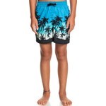 Quiksilver Everyday Paradise Vl Youth 14 Çocuk Şort EQBJV03390