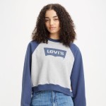 Vintage Raglan Crewneck Sweatshirt