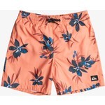 Quiksilver Everyday Mix 14 Erkek Çocuk Volley Short EQBJV03440