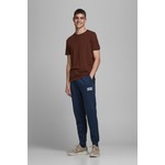 Jack & Jones 12178421 Paca Lastikli Erkek Eşofman Alti - Lacivert