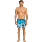 Quiksilver Paradise 15 M Jamv Erkek Siyah Deniz Şortu EQYJV03999-BMM6