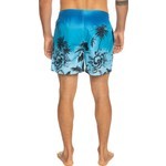 Quiksilver Paradise 15 M Jamv Erkek Siyah Deniz Şortu EQYJV03999-BMM6