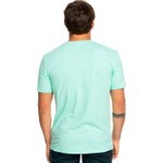 Quiksilver Mixed Signals Erkek T-shirt EQYZT07276