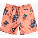 Quiksilver Everyday Mix 14 Erkek Çocuk Volley Short EQBJV03440