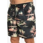 Quiksilver Everyday Mix 17 Erkek Volley Short

 EQYJV04002