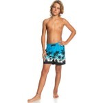 Quiksilver Everyday Paradise Vl Youth 14 Çocuk Şort EQBJV03390