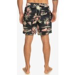 Quiksilver Everyday Mix 17 Erkek Volley Short

 EQYJV04002