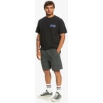 Quiksilver Taxer Elasticized Erkek Walkshort EQYWS03827