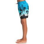 Quiksilver Everyday Paradise Vl Youth 14 Çocuk Şort EQBJV03390