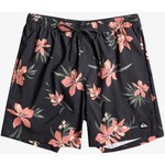 Quiksilver Everyday Mix 17 Erkek Volley Short

 EQYJV04002