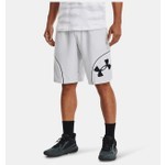 Under Armour Erkek UA Perimeter 27,9 cm Şort 1370222-014