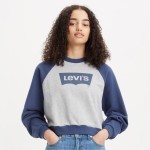 Vintage Raglan Crewneck Sweatshirt