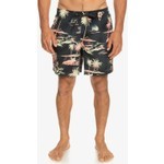 Quiksilver Everyday Mix 17 Erkek Volley Short

 EQYJV04002