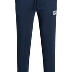 Jack & Jones 12178421 Paca Lastikli Erkek Eşofman Alti - Lacivert