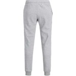 Jack & Jones 12178421 Paca Lastikli Erkek Eşofman Alti - Gri