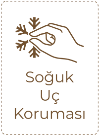 Soğuk Uç Koruması