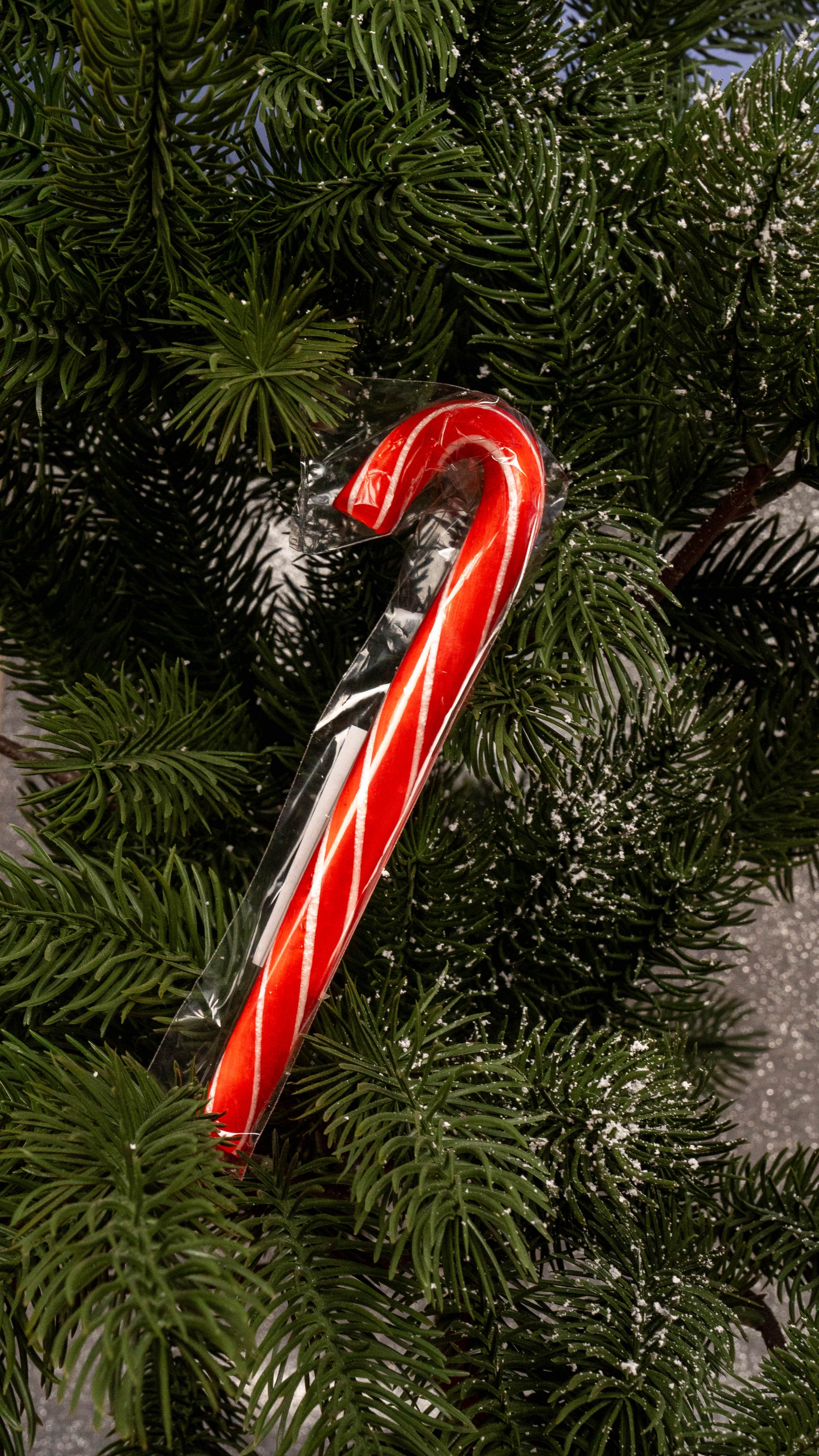 CandyZoo Yılbaşı 6lı Baston Şeker Hediye Kutusu